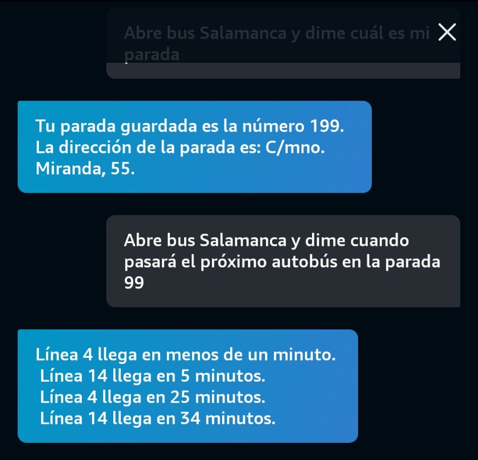 Screenshot of the skill