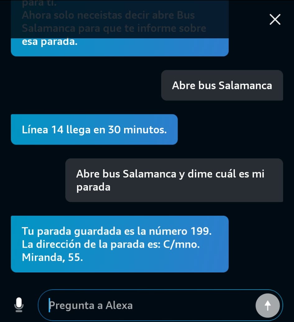 Screenshot of the skill